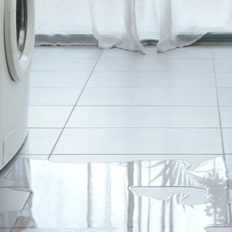 Appliance Leak Cleanup in Woodland Beach, MI