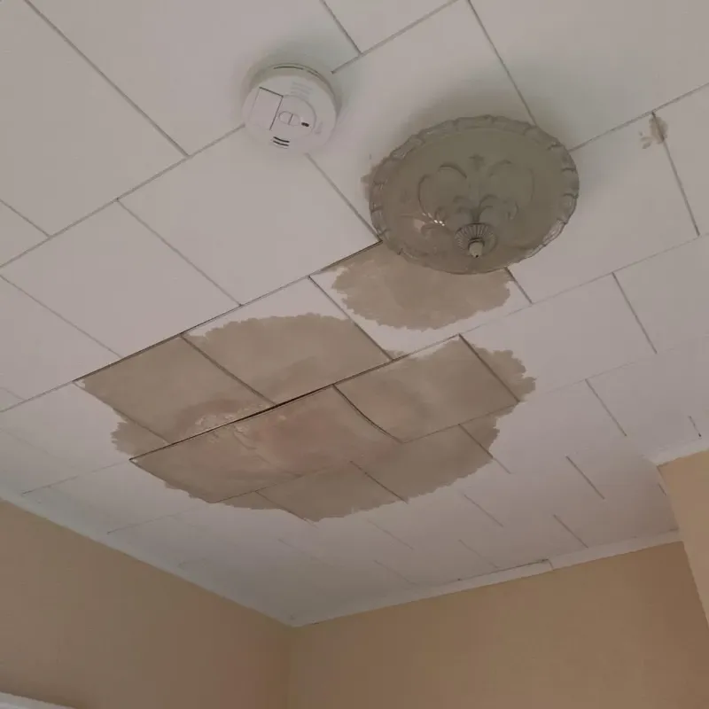 Ceiling Water Damage Repair in Woodland Beach, MI