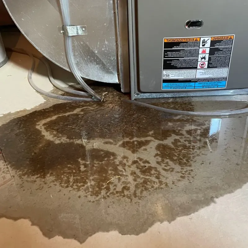 Pipe Burst and Leak Restoration in Woodland Beach, MI