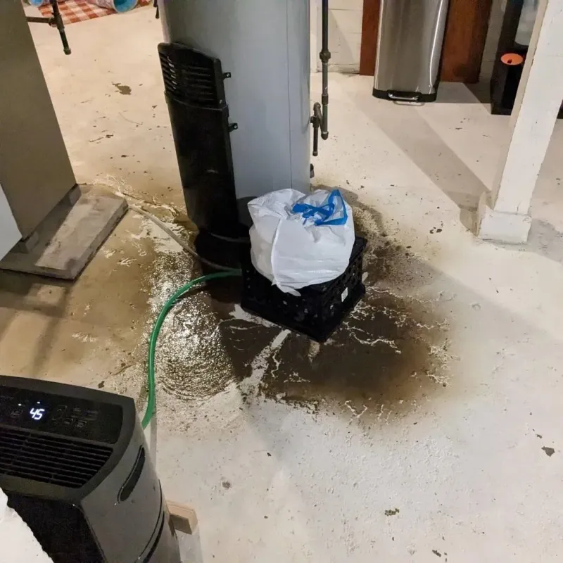 Sewage Backup Cleanup Service in Woodland Beach, MI